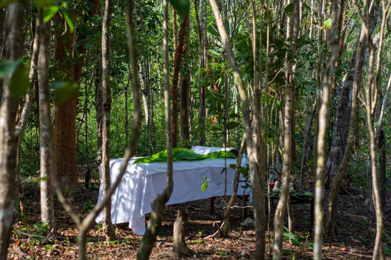 Aldea Coba An Escape Boutique Experience Hotel Ngoại thất bức ảnh