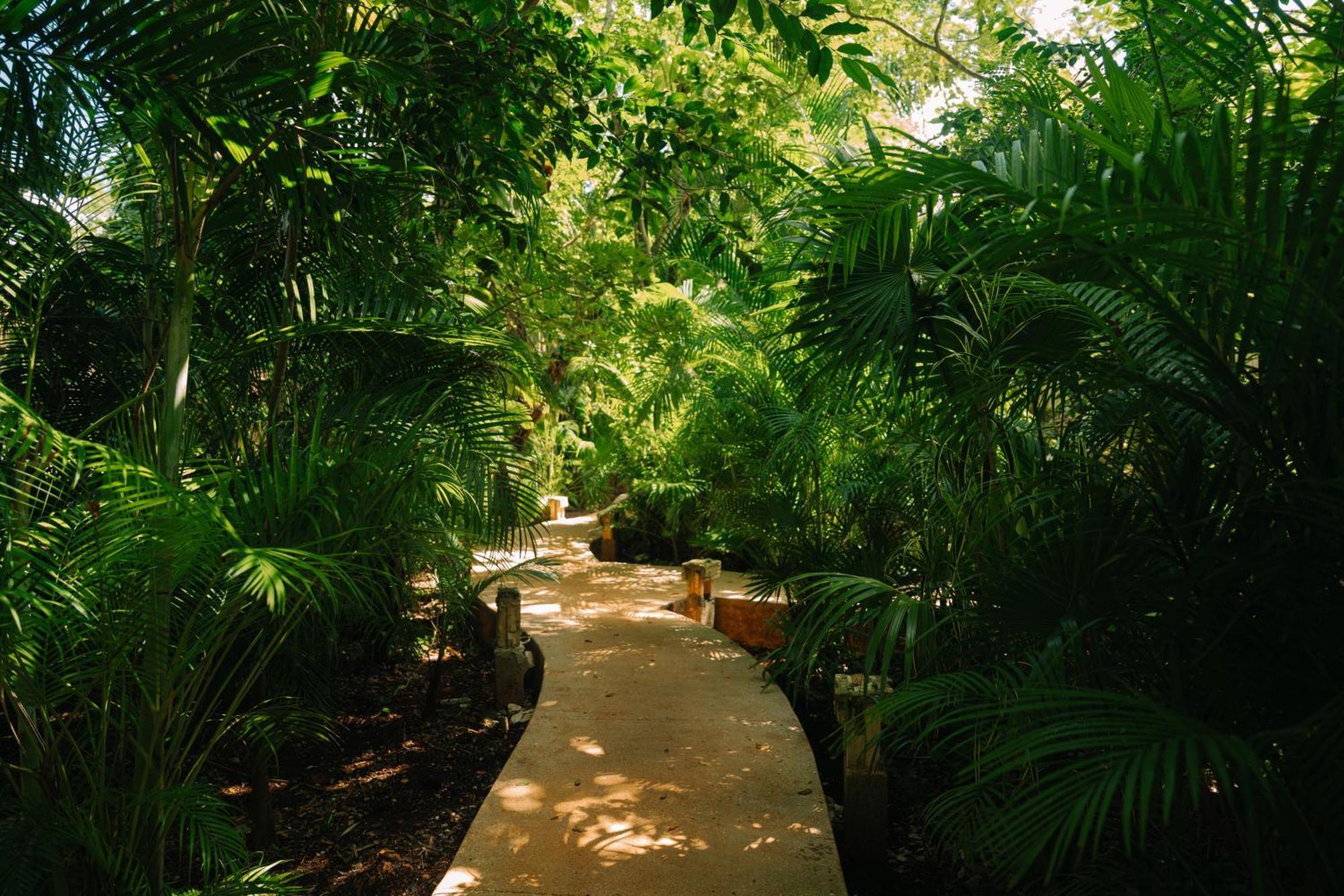 Aldea Coba An Escape Boutique Experience Hotel Ngoại thất bức ảnh