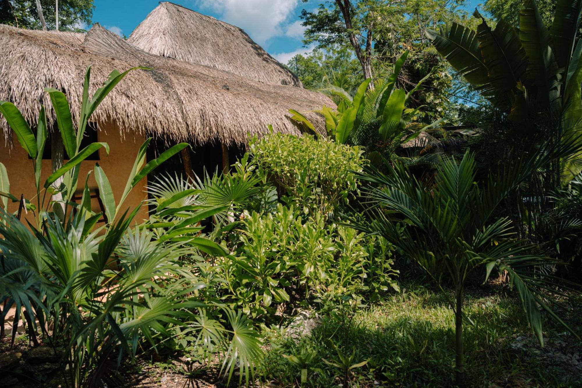 Aldea Coba An Escape Boutique Experience Hotel Phòng bức ảnh