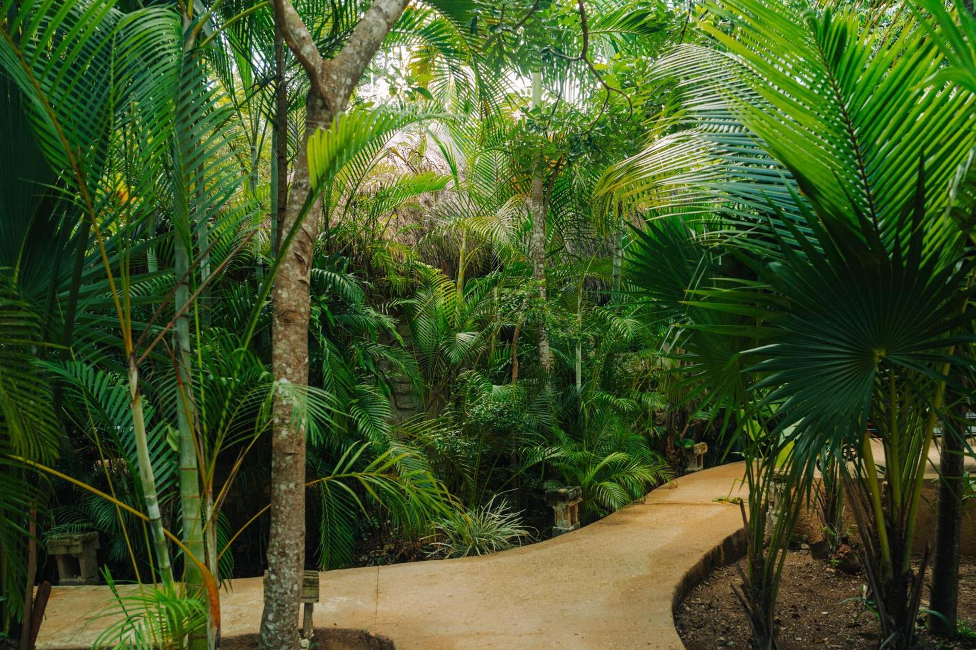 Aldea Coba An Escape Boutique Experience Hotel Phòng bức ảnh